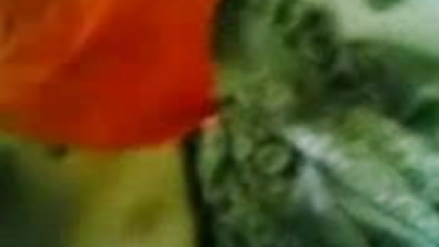 सबसे अच्छा अश्लील कोई पंजीकरण गर्म युवा भारतीय चाहता है करने के लिए प्राप्त आप बंद के रूप में वह नाटकों