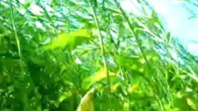 सबसे अच्छा अश्लील कोई पंजीकरण लुभावनी भारतीय भाड़ में जाओ तसलीम